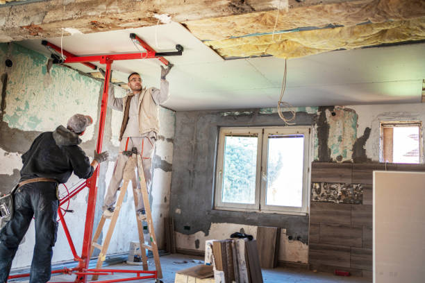 Best Geographic-Specific Insulation Services in Superior, WI