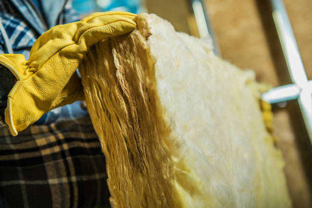 Best Eco-Friendly Insulation in Superior, WI